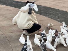 -中粮·祥云小镇