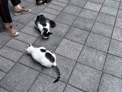 -晓港公园