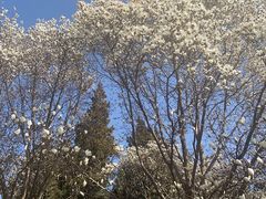 -伊隆斋(什刹海店)