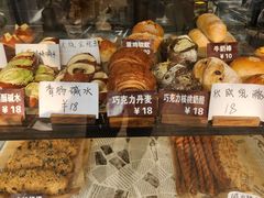 -面包日报