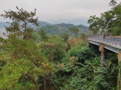 -金鸡山公园