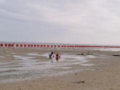 -北海金海湾红树林生态旅游区