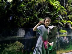 -海合安成都极地海洋公园
