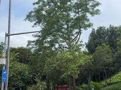 -炮台山公园