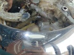 -大锅强·蒸海鲜青岛菜(吾悦广场店)