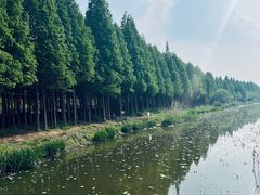 -云龙湖旅游景区