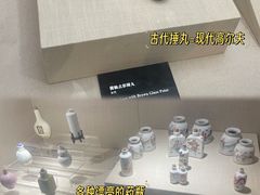 -广东中医药博物馆