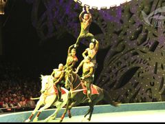 -珠海横琴长隆《卡卡虎奇遇记》