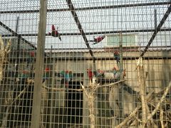 -石家庄市动物园