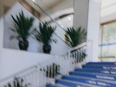 -美可普口腔医院(东街分店)