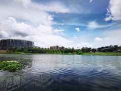 -宝安西湾红树林湿地公园