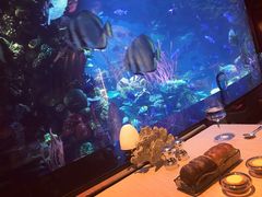 -迪拜帆船酒店海底餐厅