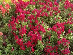 -上海植物园-4号门售票处