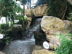 -南山植物园