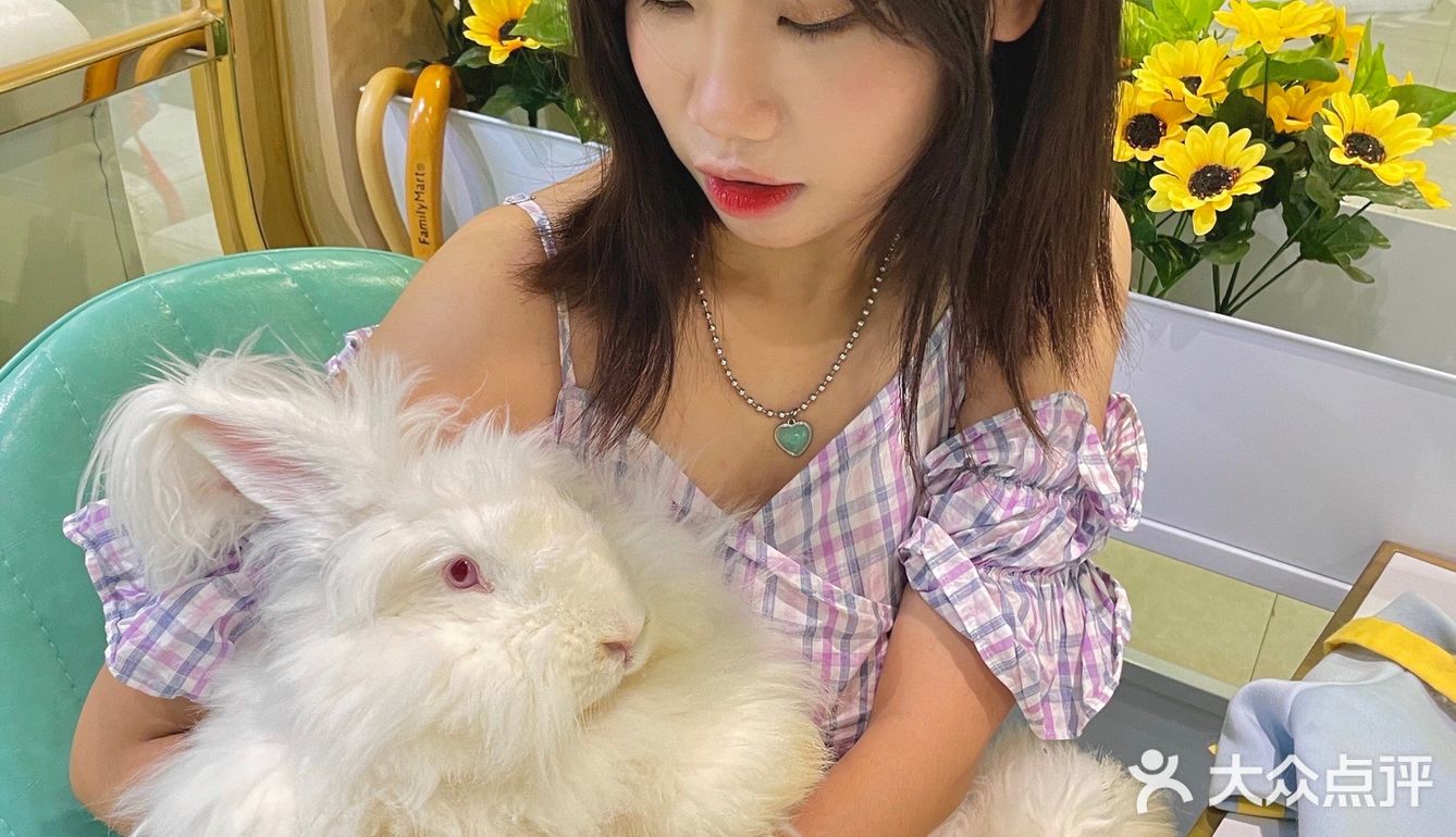 探店 | 周末来撸可爱的兔兔叭🐰