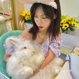 探店 | 周末来撸可爱的兔兔叭🐰