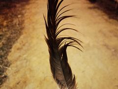 -沈阳森林动物园