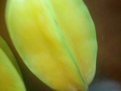 -柯剑飞超级水果批发中心(东港店)