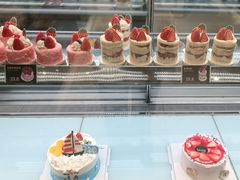 -格瑞思动物奶油生日蛋糕(园区永旺店)