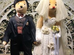 -济州岛泰迪熊博物馆