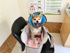 -美联众合动物医院·24h京西诊疗中心