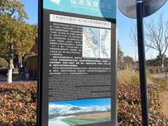 -春花秋色城市公园