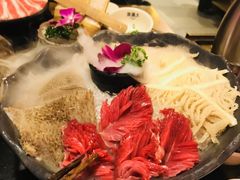 -大龙燚火锅(五一广场店)
