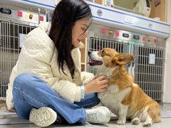 -谐和贝康宠物医院24小时·宠保定点(急重症转诊中心)