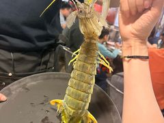 泰国濑尿虾（超多膏）-辉记炭烧海鲜大排档·老字号(福田店)