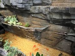 -顺德渔村·岭南一号