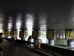 -运河游船(武林门码头)