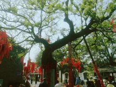 -杨家埠民间艺术大观园