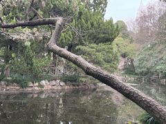 -叶家花园