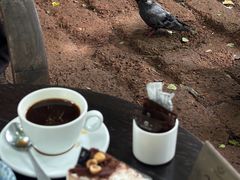 -Fern Forest Cafe