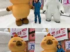 -广州热雪奇迹