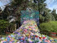 -上海共青森林公园