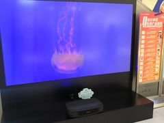 -远洋未来广场(育慧北路店)