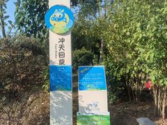 -株洲云龙水上乐园