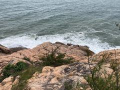 -广东惠东海龟国家级自然保护区
