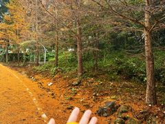 -福清灵石山国家森林公园