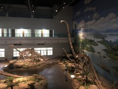 -自贡恐龙博物馆