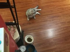 -H立方实景剧情密室(天河旗舰店)