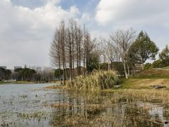 -尚贤河湿地