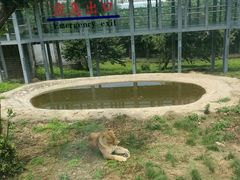 -西安秦岭野生动物园