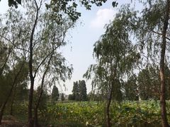 -张公山寨景区