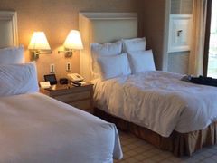 -拉斯维加斯永利酒店