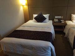 -武汉帝盛酒店(江汉路步行街店)