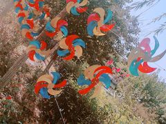 -西安汉城湖景区