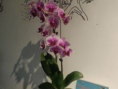 -紫腾大院·南京菜(江宁店)
