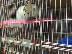 -暖阳宠物医院·犬猫康复中心·骨科